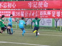 全南天龙VS金浦市民_全南天龙VS金浦市民比赛高清免费在线直播_全南天龙VS金浦市民无插件在线观看视频