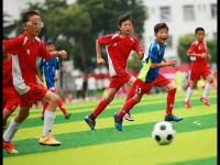 首尔依恋VS忠北清州_首尔依恋VS忠北清州直播观看免费_首尔依恋VS忠北清州